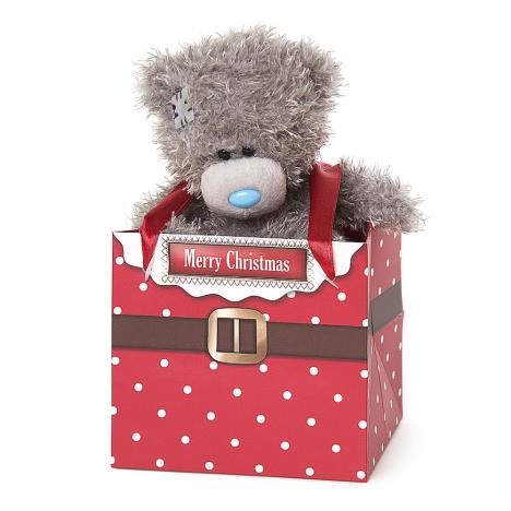 5" Me To You Bear In Christmas Gift Bag £4.79